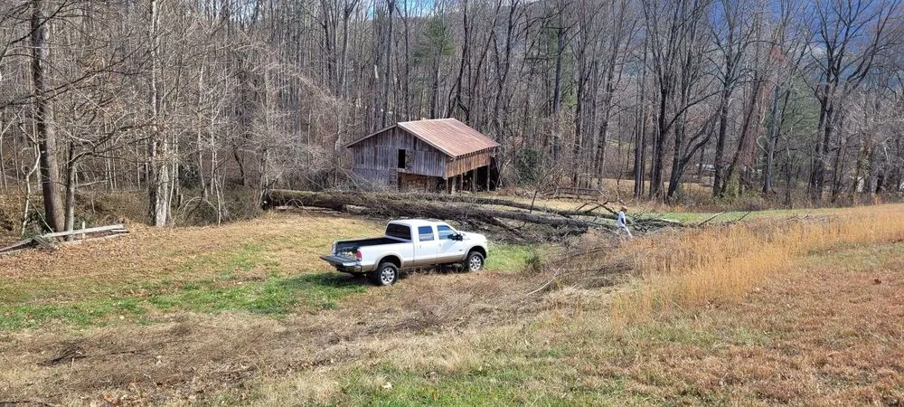 Affordable yard cleanup service for residential properties in Spruce Pine, NC by Nicolas Landscaping and Tree Service