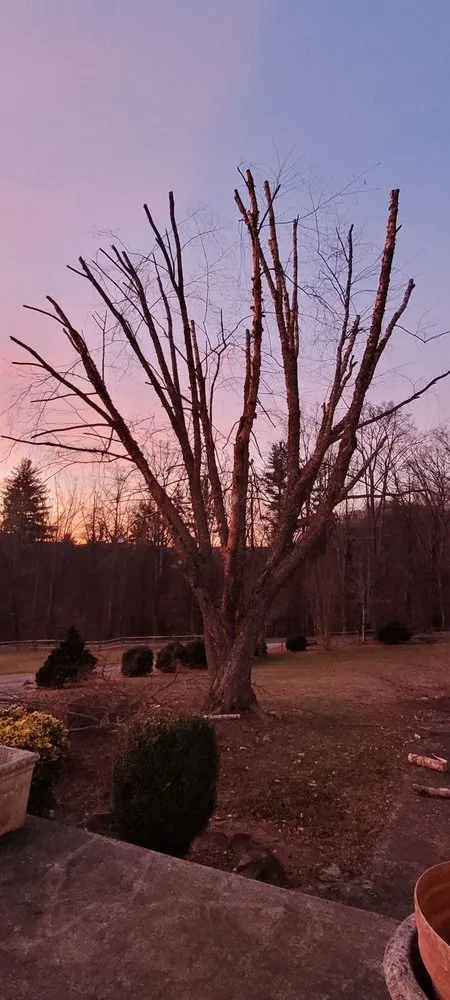 Local yard maintenance in Spruce Pine, NC - Nicolas Landscaping and Tree Service