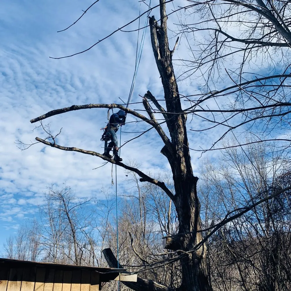 Professional landscape installation near you in Spruce Pine, NC by Nicolas Landscaping and Tree Service