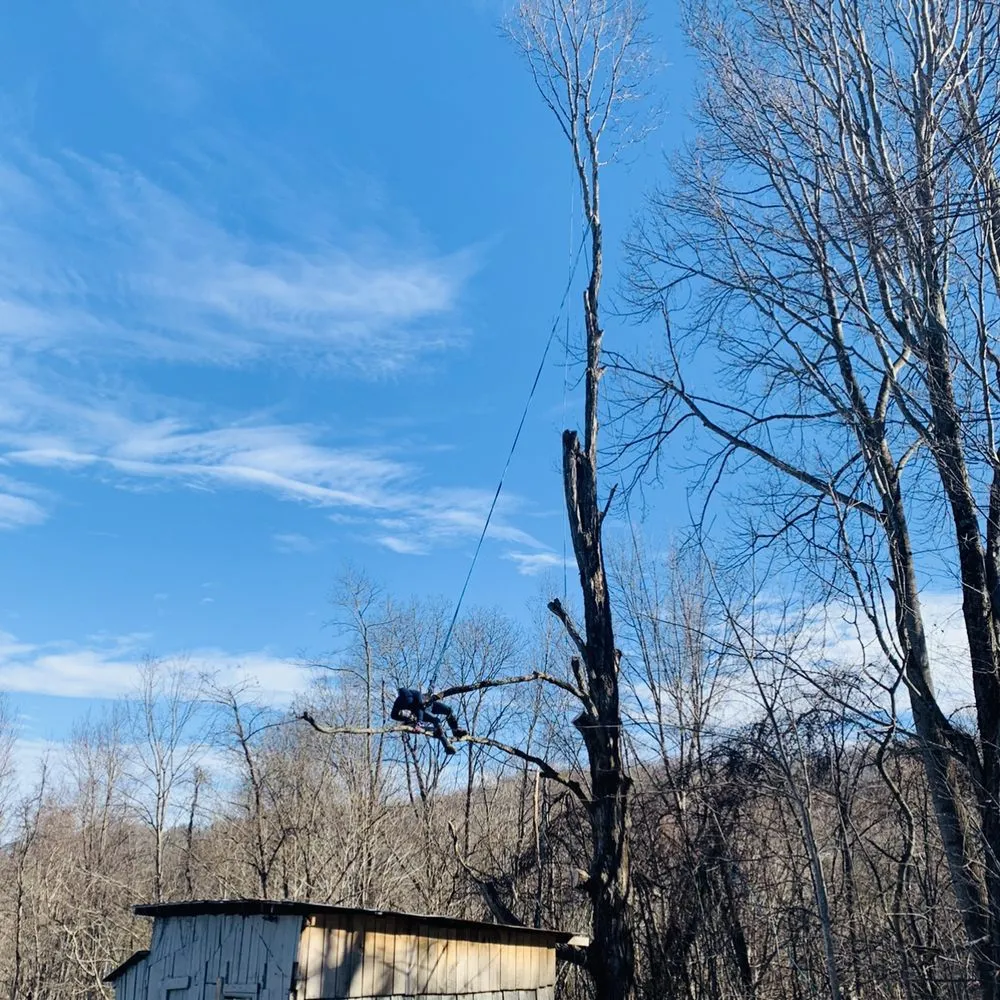 Affordable landscape installation in Spruce Pine, NC by Nicolas Landscaping and Tree Service