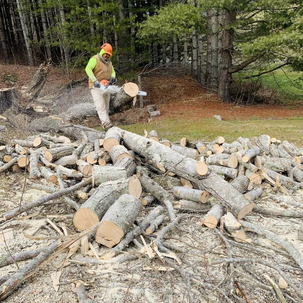 Trusted landscape design experts serving Spruce Pine, NC - Nicolas Landscaping and Tree Service