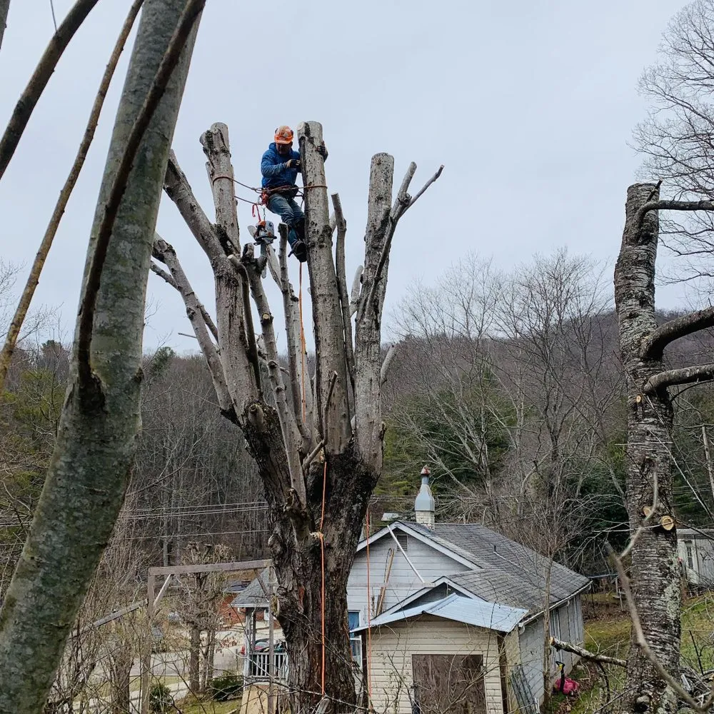Custom residential landscaping in Spruce Pine, NC by Nicolas Landscaping and Tree Service