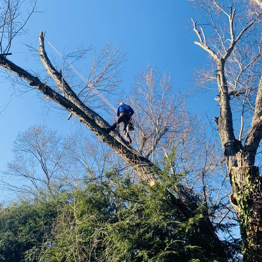Custom outdoor landscaping for residential properties in Spruce Pine, NC by Nicolas Landscaping and Tree Service