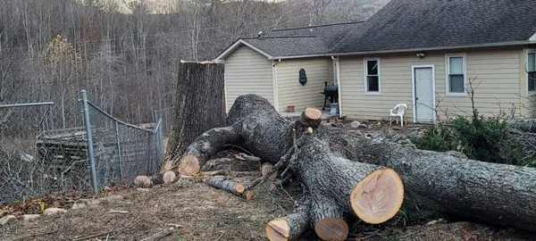 Nicolas Landscaping and Tree Service