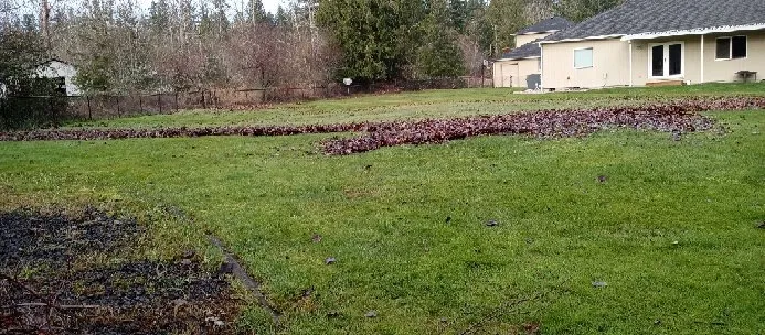 Custom landscaping services experts serving Centralia, WA - Nicolas landscaping