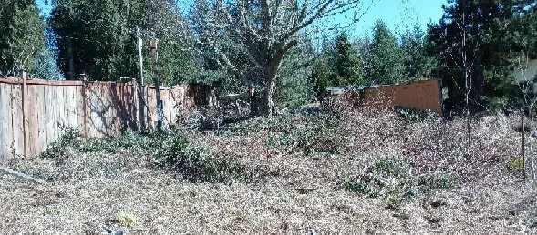 Professional landscaping services for homes across Centralia, WA - Nicolas landscaping