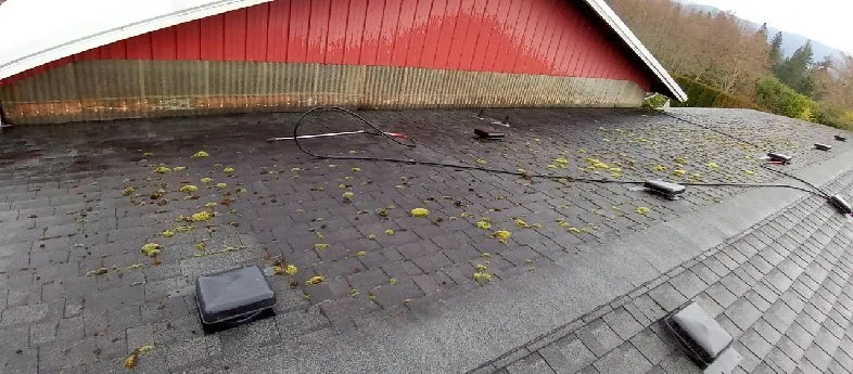 Trusted yard maintenance near you across Centralia, WA - Nicolas landscaping