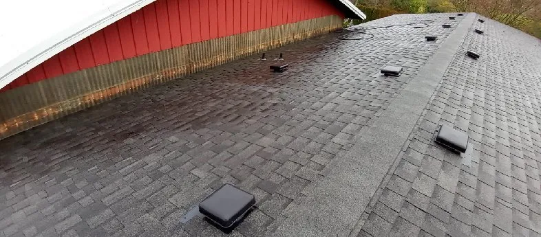 Custom yard maintenance in Centralia, WA - Nicolas landscaping