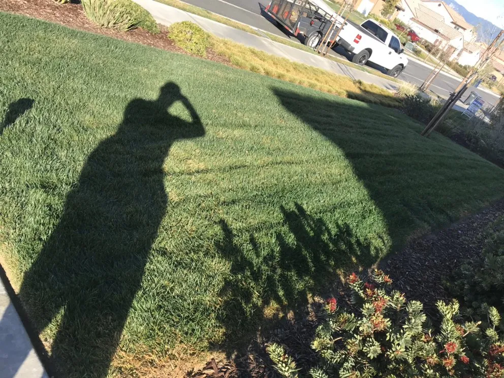 Custom outdoor landscaping in Moreno Valley, CA by Nicolas Landscaping