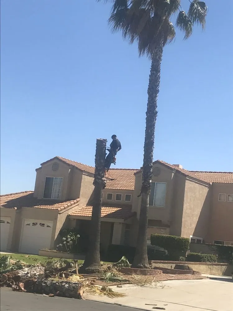 Affordable landscape installation with custom design in Moreno Valley, CA by Nicolas Landscaping