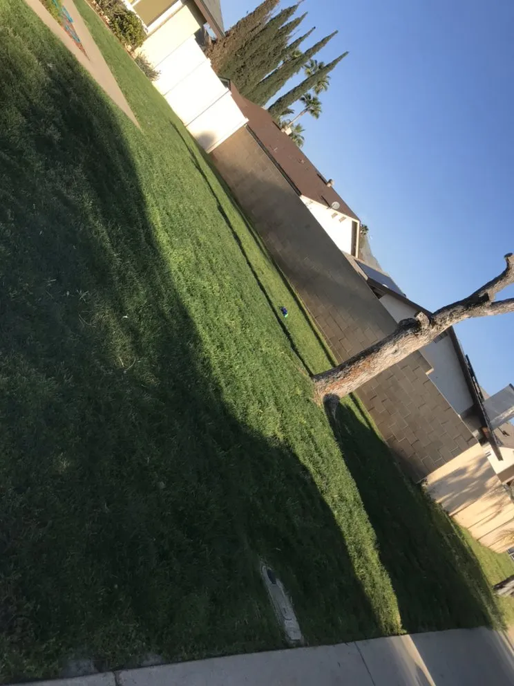 Affordable lawn care service experts serving Moreno Valley, CA - Nicolas Landscaping