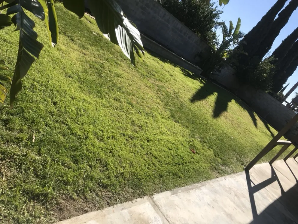 Professional residential landscaping for homes in Moreno Valley, CA by Nicolas Landscaping