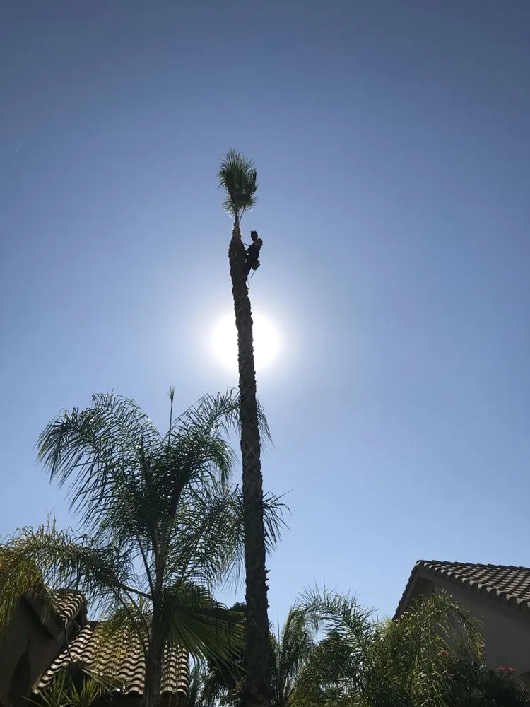 Top-rated garden landscaping in Moreno Valley, CA - Nicolas Landscaping