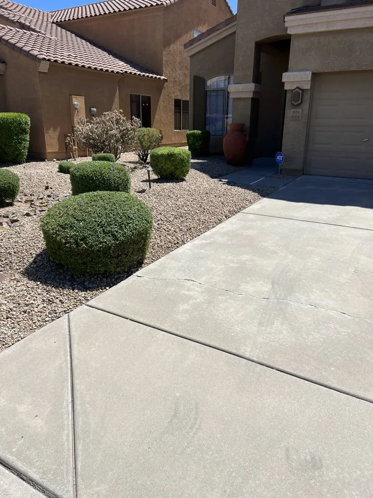 Custom yard cleanup service experts serving Phoenix, AZ - Nicolas Landscaping