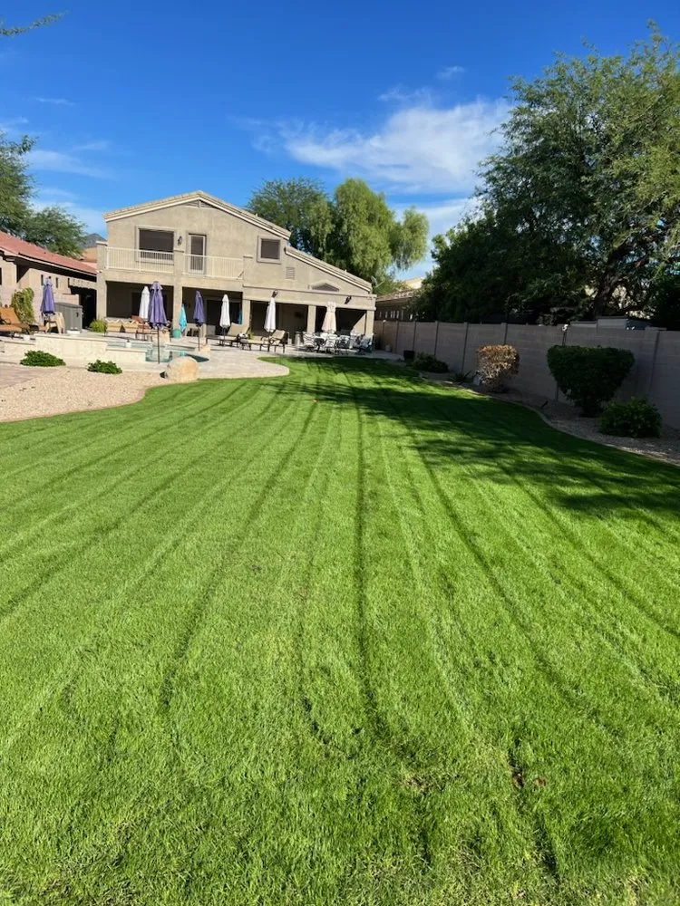 Affordable outdoor landscaping for outdoor upgrades in Phoenix, AZ by Nicolas Landscaping