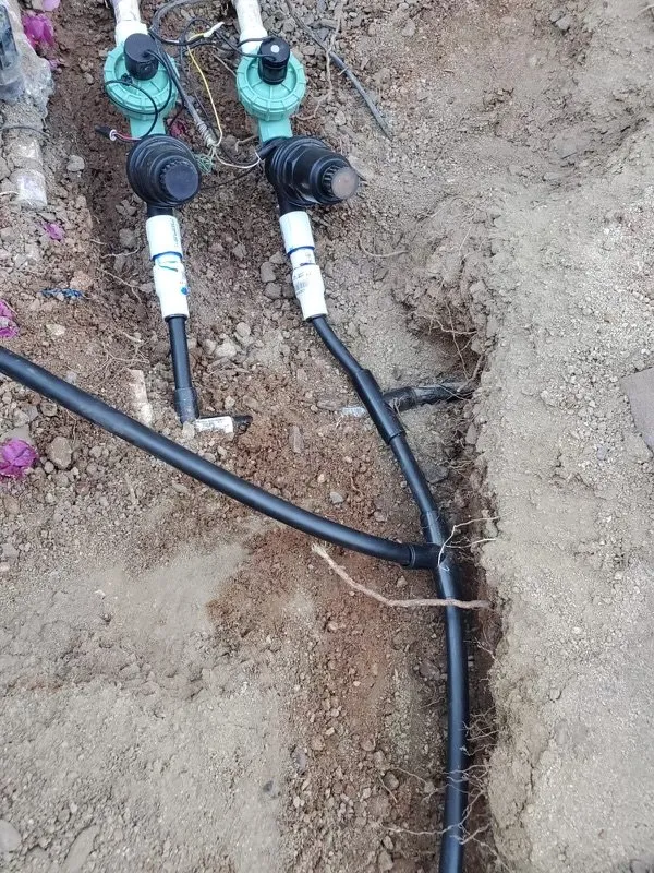 Top-rated lawn mowing service for year-round maintenance across Phoenix, AZ - Nicolas Landscaping