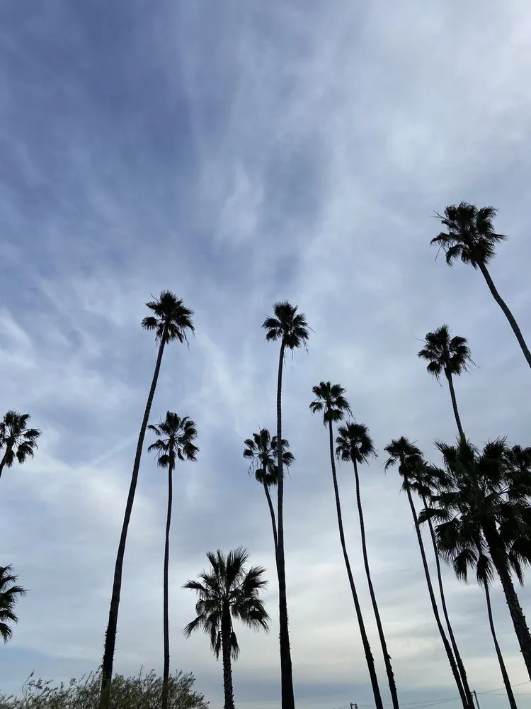 Reliable lawn mowing service experts serving Santa Barbara, CA - Nicolas Lebrero