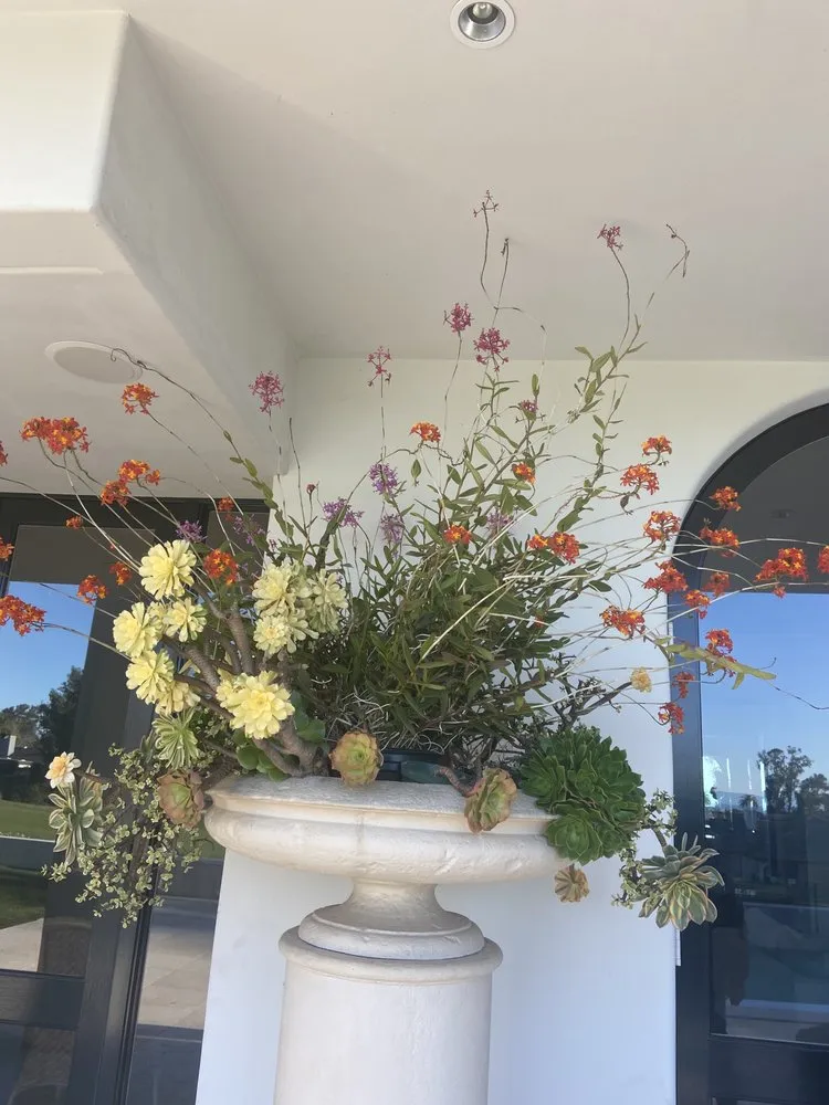 Custom residential landscaping in Santa Barbara, CA - Nicolas Lebrero