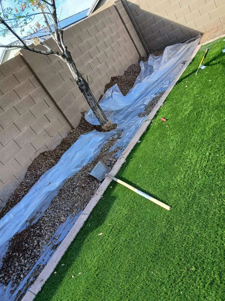 Top-rated residential landscaping in El Mirage, AZ - Nicolas Tomas Landscaping