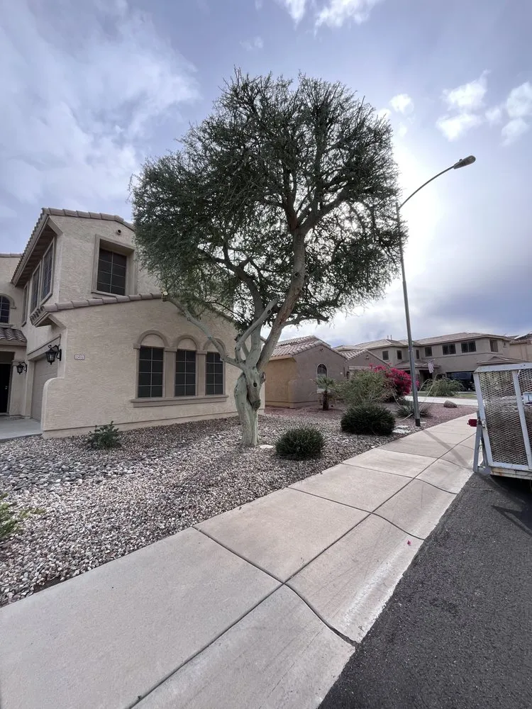 Top-rated landscaping services for residential properties in El Mirage, AZ by Nicolas Tomas Landscaping