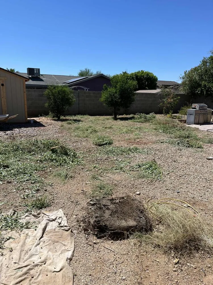 Custom lawn mowing service for homes across El Mirage, AZ - Nicolas Tomas Landscaping