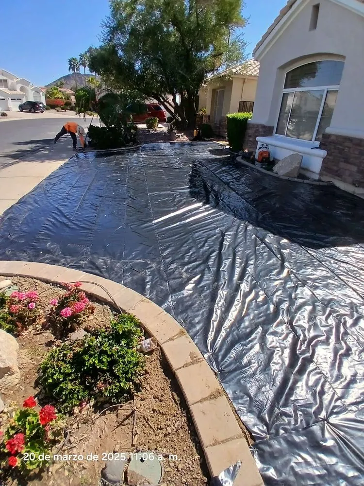 Trusted yard maintenance for outdoor upgrades in El Mirage, AZ by Nicolas Tomas Landscaping