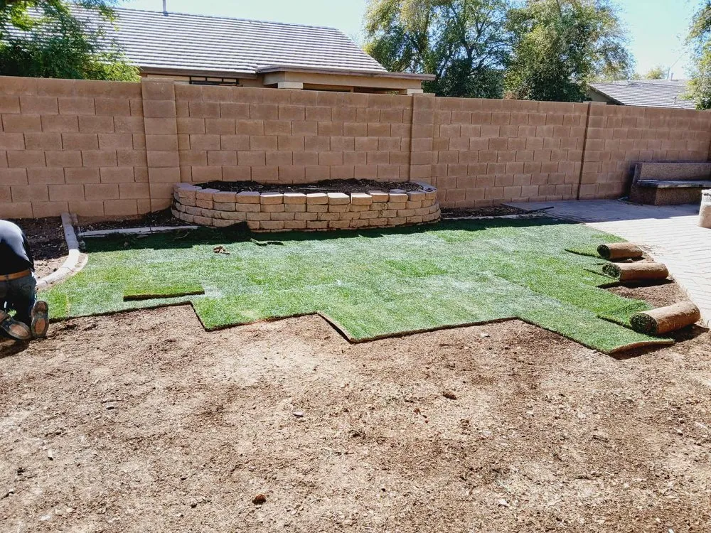 Top-rated yard maintenance for homes in El Mirage, AZ by Nicolas Tomas Landscaping