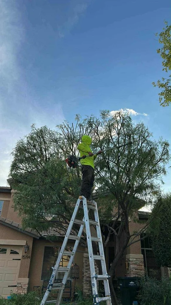 Custom landscape design in El Mirage, AZ - Nicolas Tomas Landscaping