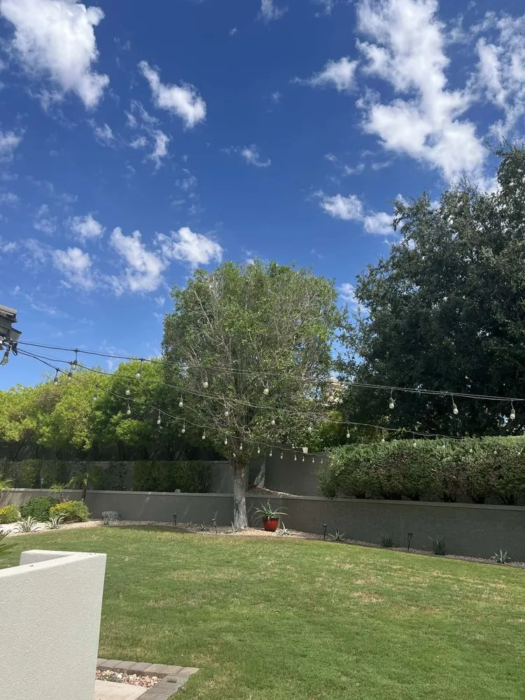 Reliable lawn mowing service in El Mirage, AZ by Nicolas Tomas Landscaping