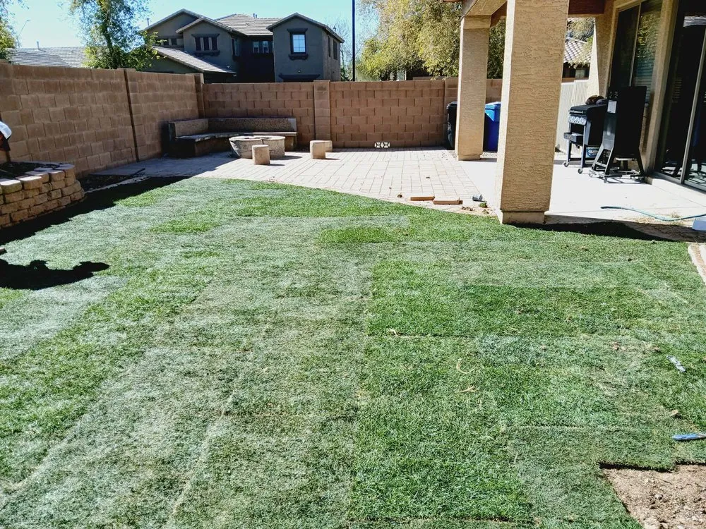 Affordable outdoor landscaping for homes across El Mirage, AZ - Nicolas Tomas Landscaping