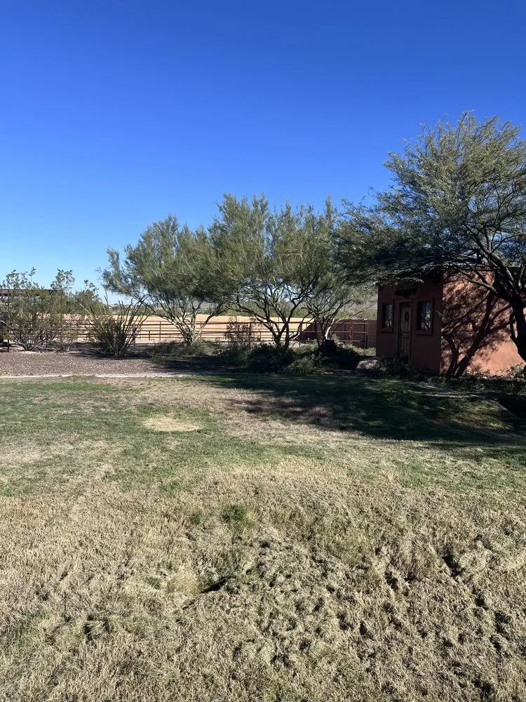 Expert landscape design in El Mirage, AZ by Nicolas Tomas Landscaping