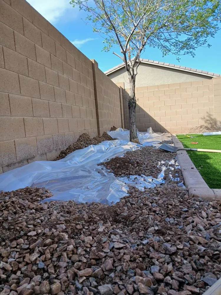 Reliable landscape installation experts serving El Mirage, AZ - Nicolas Tomas Landscaping