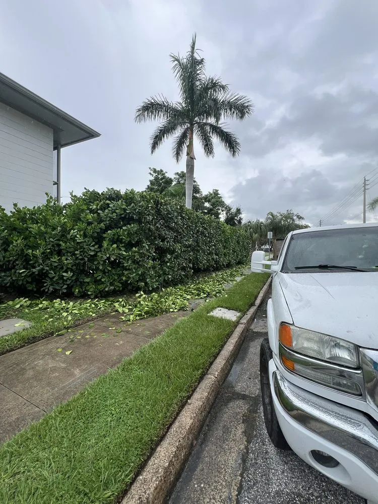 Affordable outdoor landscaping experts serving Sarasota, FL - Nicole Lawn Care & Landscaping