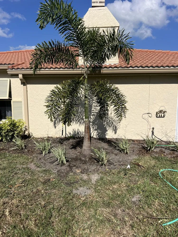 Professional yard maintenance in Sarasota, FL - Nicole Lawn Care & Landscaping