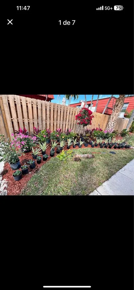 Local landscaping services near you across Sarasota, FL - Nicole Lawn Care & Landscaping