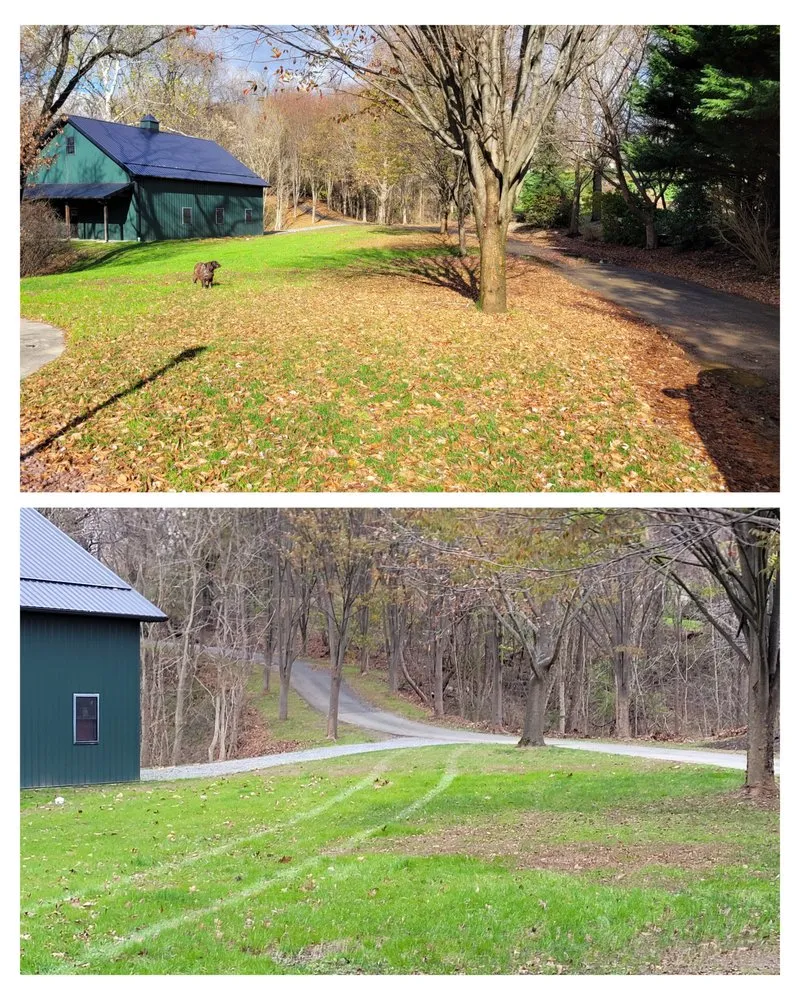 Trusted yard maintenance for beautiful yards in Lancaster, PA by Nicole's Landscaping