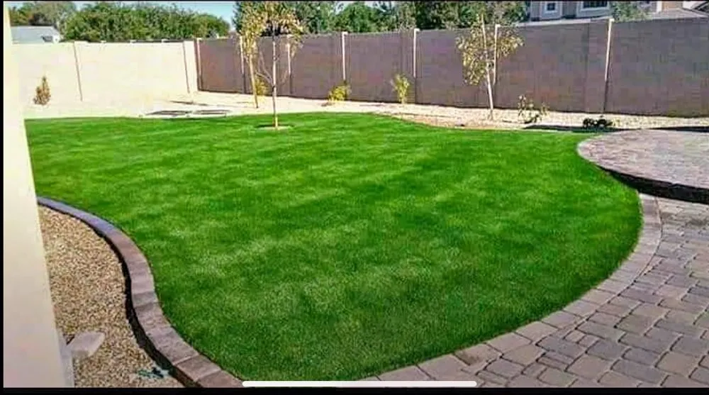 Expert outdoor landscaping near you across Avondale, AZ - Nico's Landscaping