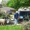Top-rated lawn mowing service experts serving Roseville, MI - Nico's Lawn Service