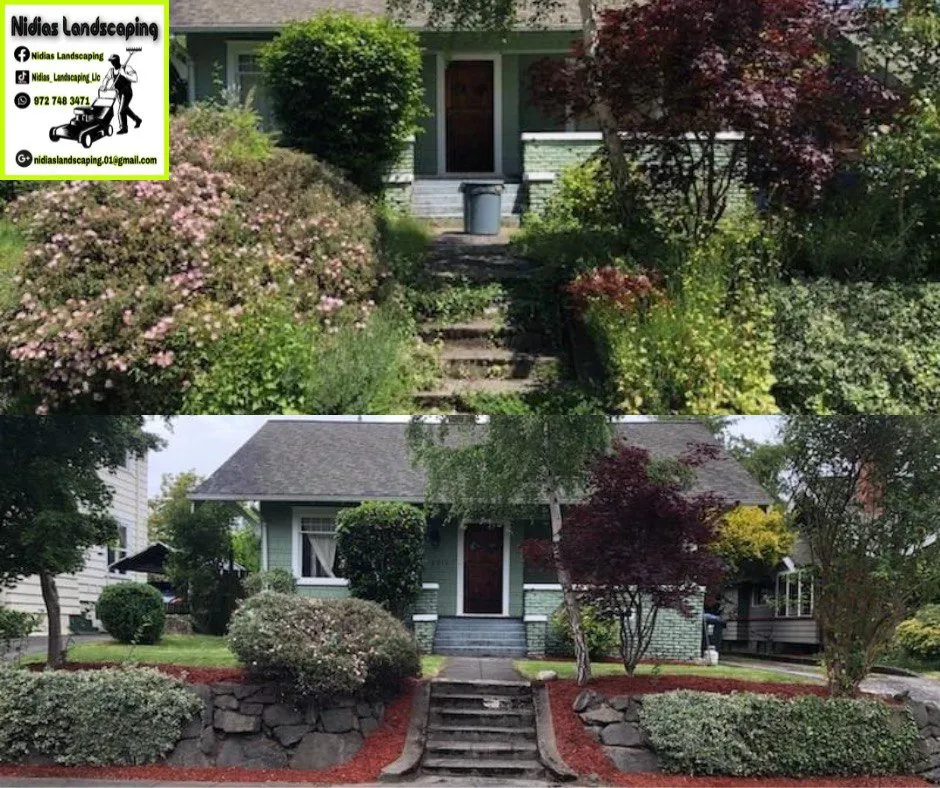 Affordable landscape design in Tampa, FL - Nidias Landscaping