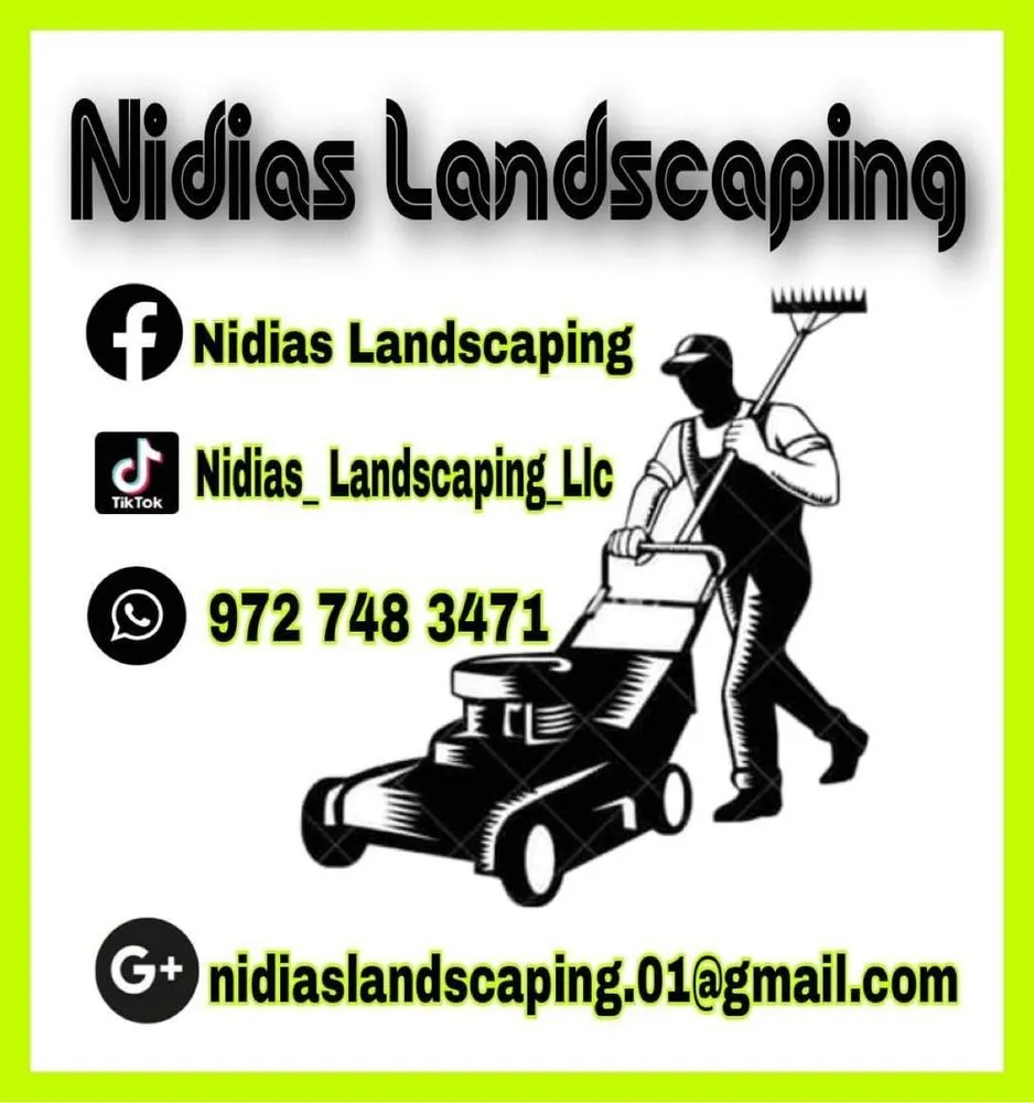 Top-rated yard maintenance in Tampa, FL by Nidias Landscaping