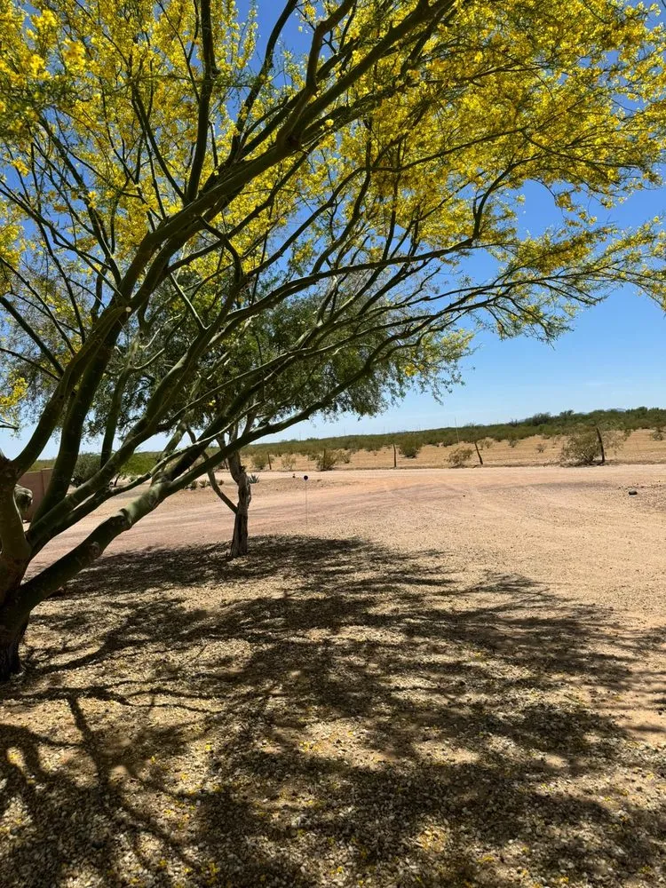 Custom outdoor landscaping for beautiful yards across El Mirage, AZ - Niebla Landscaping