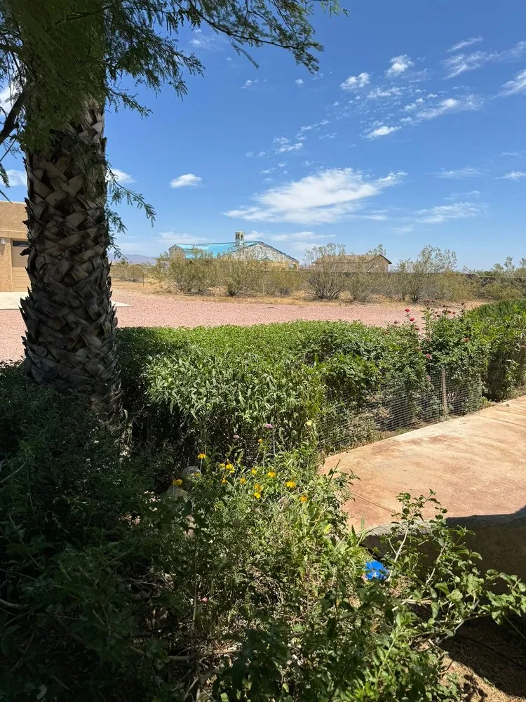 Top-rated residential landscaping experts serving El Mirage, AZ - Niebla Landscaping