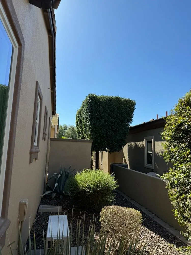 Custom landscaping services in El Mirage, AZ - Niebla Landscaping