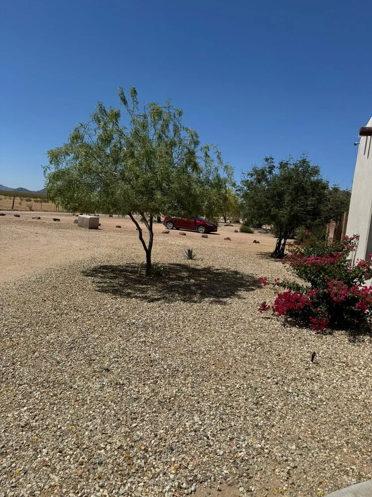 Trusted landscaping services experts serving El Mirage, AZ - Niebla Landscaping