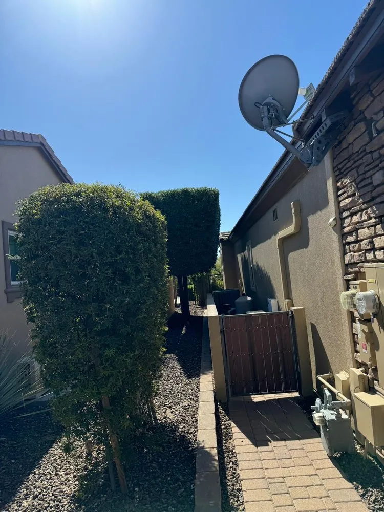 Top-rated yard cleanup service experts serving El Mirage, AZ - Niebla Landscaping