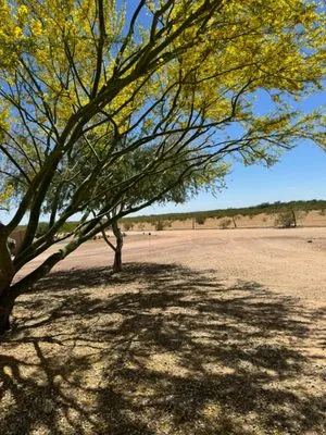 Niebla Landscaping Logo