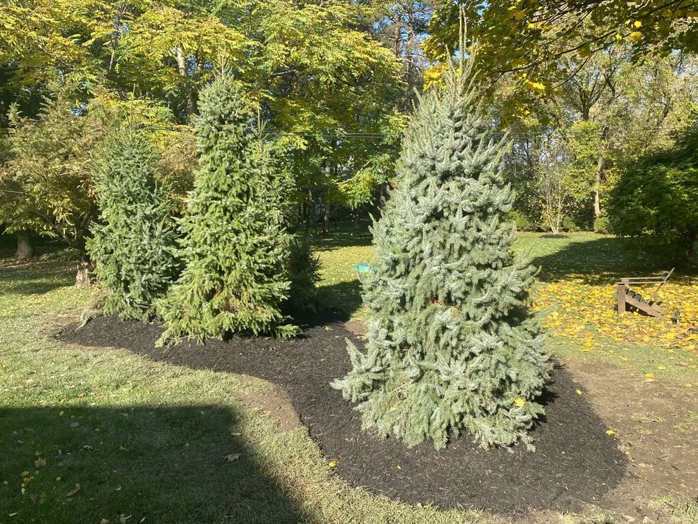 Custom residential landscaping in Rochester Hills, MI by Nielsen Pro