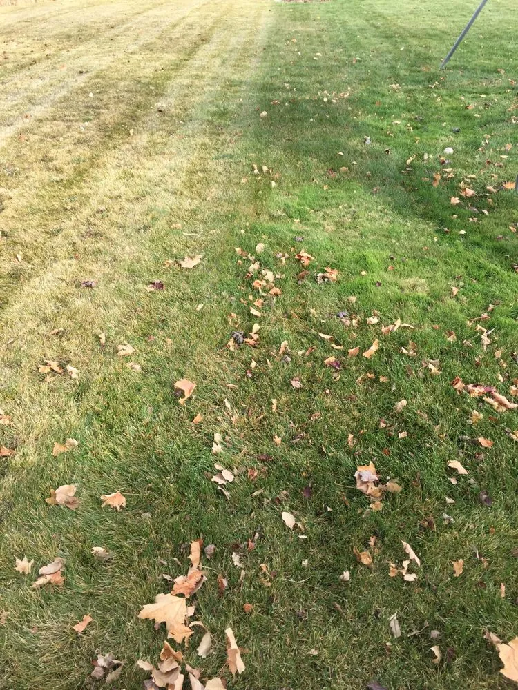 Expert garden landscaping in Eureka, UT - Nielsen's Lawn Care and Pest control