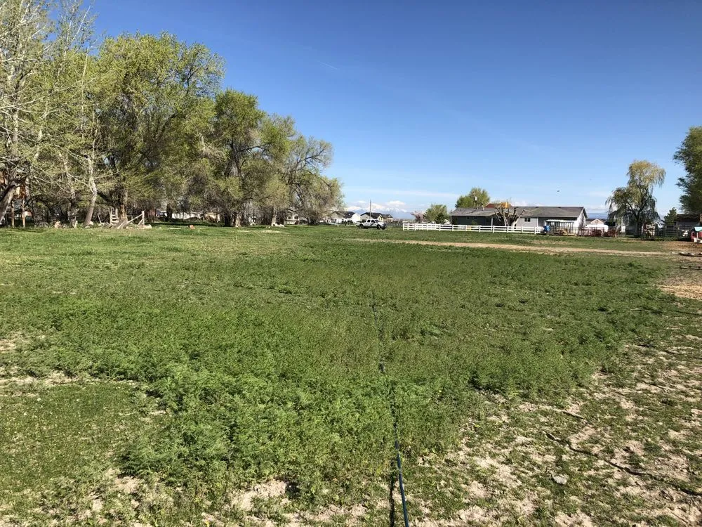 Local garden landscaping in Eureka, UT by Nielsen's Lawn Care and Pest control