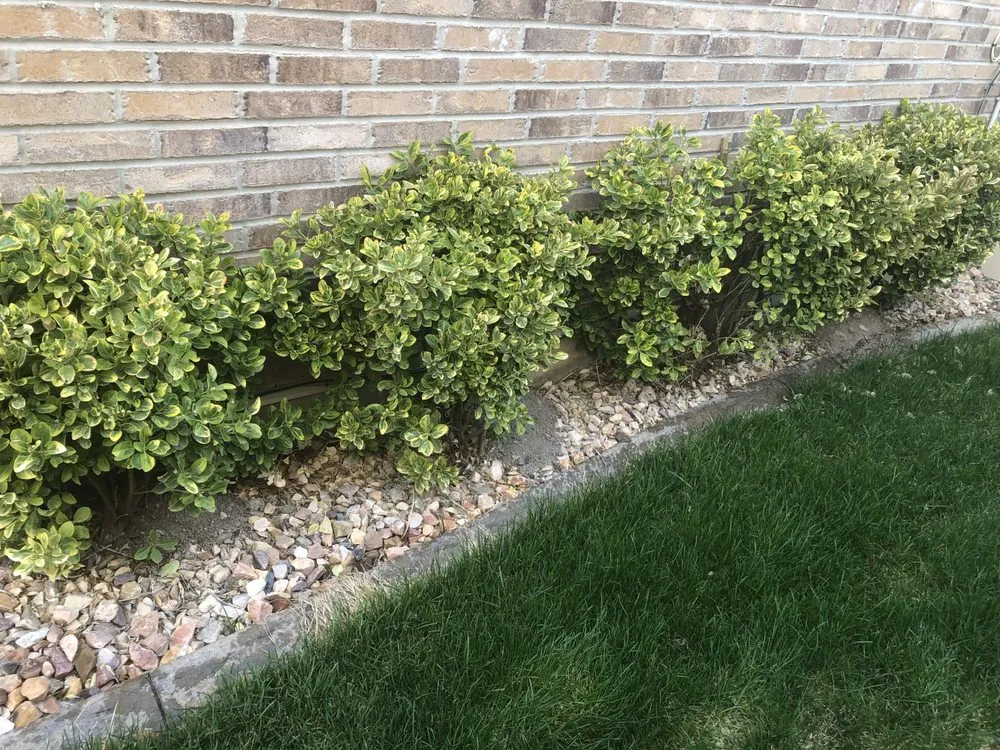 Top-rated landscaping services experts serving Eureka, UT - Nielsen's Lawn Care and Pest control